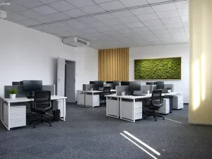 Pronájem kanceláře, Brno, Moravské náměstí, 78 m2