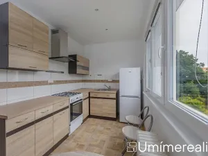 Pronájem bytu 2+1, Praha - Veleslavín, Na okraji, 55 m2