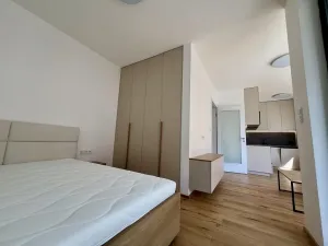 Pronájem bytu 1+kk, Praha - Nusle, Závišova, 33 m2