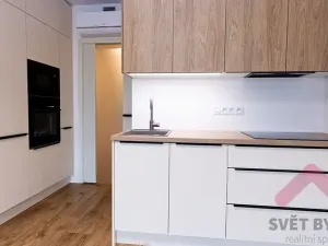 Pronájem bytu 1+kk, Praha - Žižkov, Šrámkové, 33 m2