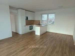 Pronájem bytu 4+kk, Hodonín, Žižkova, 93 m2