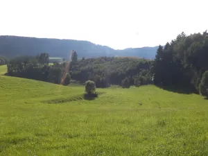 Prodej pole, Dolní Dobrouč - Horní Dobrouč, 71151 m2