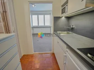 Pronájem bytu 1+kk, Brno, Sokolská, 25 m2