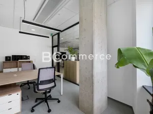 Pronájem kanceláře, Brno, 310 m2