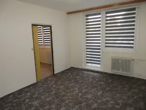 Prodej bytu 1+1, Hluk, Závodní, 42 m2