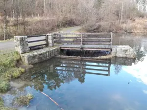 Pronájem rybníku, Zlín, 6507 m2