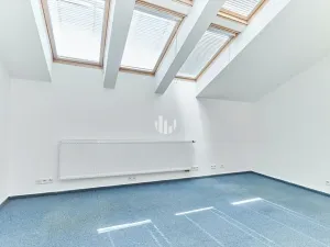 Pronájem kanceláře, Praha - Nové Město, U Bulhara, 100 m2