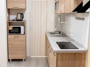 Pronájem bytu 2+kk, Praha - Nusle, Zdaru, 49 m2