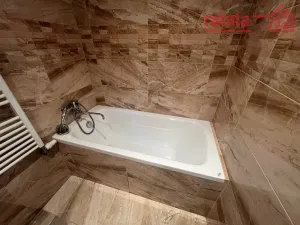 Pronájem bytu 2+1, Chomutov, Selská, 55 m2