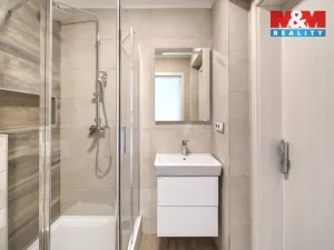 Pronájem bytu 1+kk, Praha, Pleštilova, 22 m2