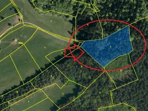 Prodej podílu lesa, Francova Lhota, 1929 m2