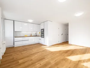 Prodej bytu 3+kk, Praha - Karlín, Molákova, 69 m2