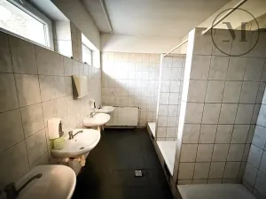 Pronájem výrobních prostor, Lišov, Miletínská, 1000 m2