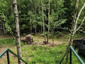 Prodej lesa, Hlubočky, 6680 m2