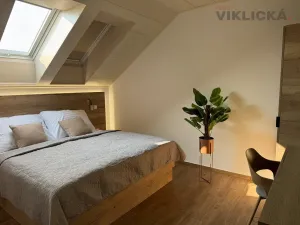 Pronájem ubytování, Slavonice, Nádražní, 220 m2