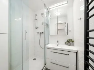 Pronájem bytu 3+kk, Praha - Žižkov, U kněžské louky, 67 m2