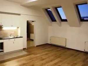 Pronájem obchodního prostoru, Prostějov, Wolkerova, 41 m2