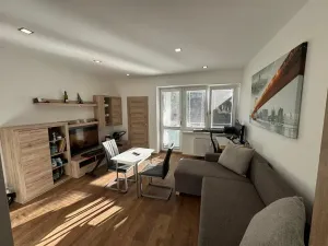 Pronájem bytu 1+kk, Brno, Dřevařská, 40 m2