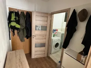 Pronájem bytu 1+kk, Brno, Dřevařská, 40 m2