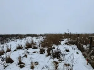 Prodej pozemku pro bydlení, Rožďalovice, U Barborky, 817 m2