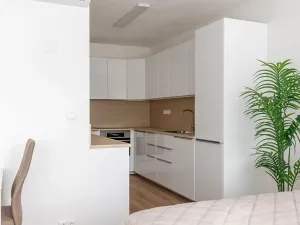 Pronájem bytu 1+kk, Brno, Lidická, 41 m2