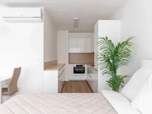 Pronájem bytu 1+kk, Brno, Lidická, 41 m2