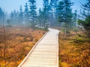 Prodej bytu 1+kk, Boží Dar, 33 m2