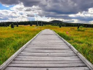 Prodej bytu 1+kk, Boží Dar, 33 m2