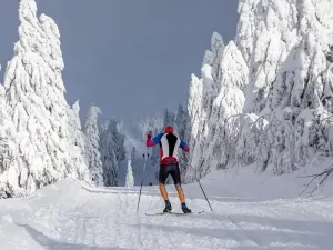 Prodej bytu 1+kk, Boží Dar, 33 m2