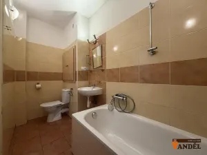 Pronájem bytu 1+1, Havířov, Okrajová, 35 m2