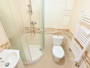 Pronájem bytu 1+1, Most, Antonína Dvořáka, 29 m2