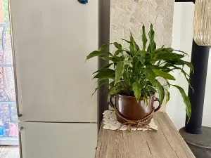 Pronájem bytu 1+1, Březová nad Svitavou, 50 m2