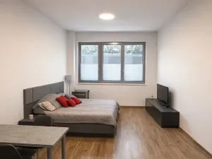 Pronájem bytu 1+kk, Praha - Libeň, Kurta Konráda, 39 m2