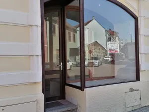 Pronájem obchodního prostoru, Kladno, Váňova, 35 m2