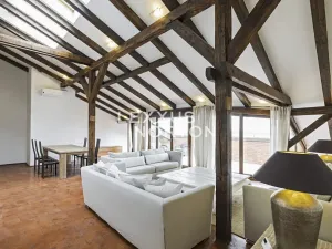 Pronájem bytu 4+1, Praha - Vinohrady, Ibsenova, 282 m2