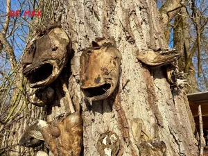 Prodej chaty, Moravany, 12 m2