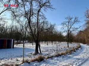 Prodej chaty, Moravany, 12 m2