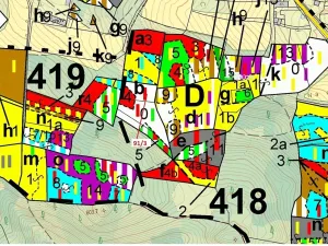 Dražba lesa, Pačejov, 1958 m2