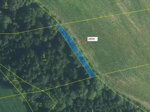 Dražba lesa, Písečná, 447 m2