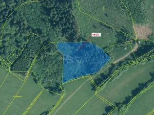 Dražba lesa, Nezdice na Šumavě, 10638 m2