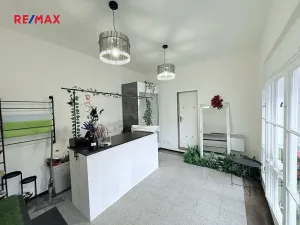 Pronájem obchodního prostoru, Praha - Střešovice, Na Malovance, 18 m2