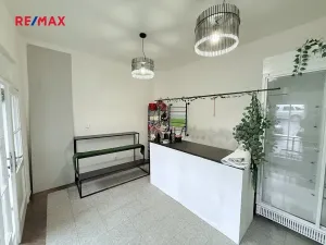 Pronájem obchodního prostoru, Praha - Střešovice, Na Malovance, 18 m2