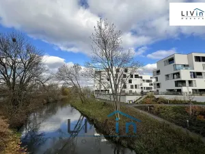 Pronájem bytu 2+kk, Olomouc, Ostrovní, 65 m2