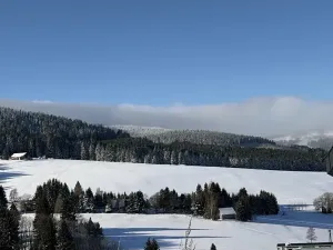 Prodej rodinného domu, Loučná pod Klínovcem, 486 m2