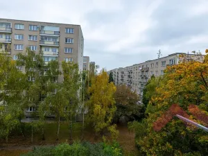 Pronájem bytu 1+1, Praha - Záběhlice, Na Chodovci, 39 m2