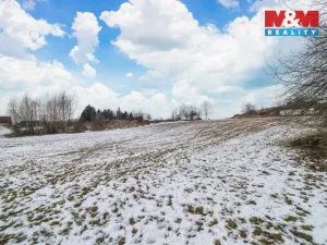 Prodej pozemku pro bydlení, Břasy - Vranovice, 3877 m2