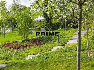 Pronájem bytu 4+kk, Praha - Smíchov, Holečkova, 178 m2