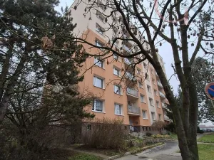 Pronájem bytu 1+1, Plzeň - Bolevec, Komenského, 39 m2