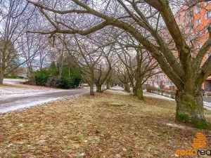 Prodej bytu 2+1, Ústí nad Labem, Maková, 60 m2