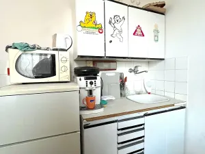 Pronájem bytu 2+1, Brno, Gorkého, 45 m2